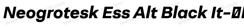 Neogrotesk Ess Alt Black It字体转换